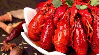 龙虾最新爆料视频大全,揭秘幕后真相，精彩瞬间大盘点